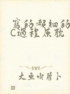 写的超细的多肉C过程原耽