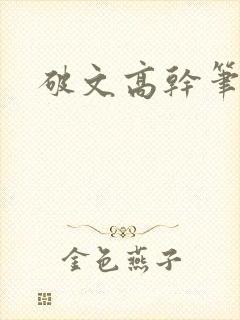 破文高干笔趣阁