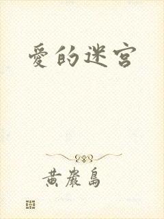 爱的迷宫