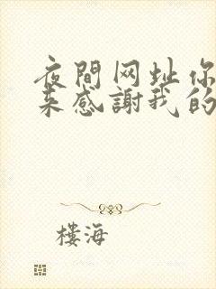 夜间网址你会回来感谢我的