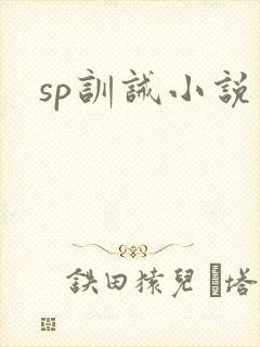 sp训诫小说