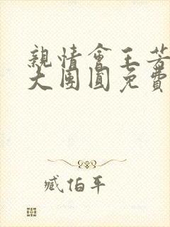 亲情会王芳高敏大团圆免费阅读