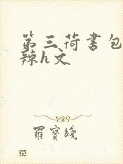 第三荷书包网高辣h文