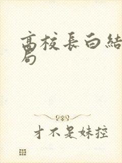 高校长白结大结局