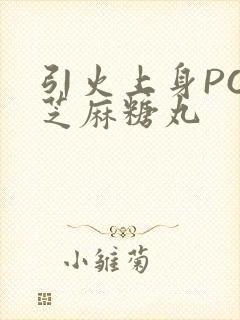 引火上身POP芝麻糖丸