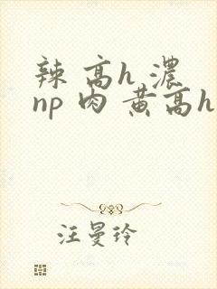 辣 高h 浓 np 肉 黄高h
