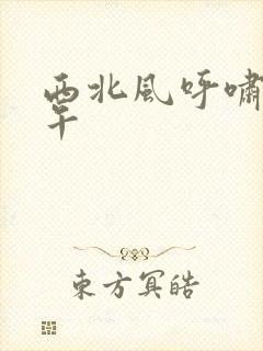 西北风呼啸的中午