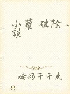 小萝 破除 小说
