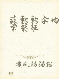 苏软软汆肉的日常系统