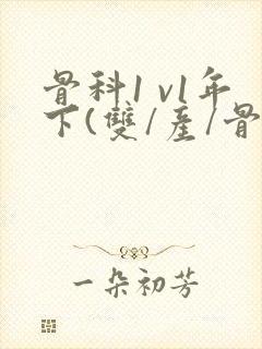 骨科1 v1年下(双/产/骨科年下)