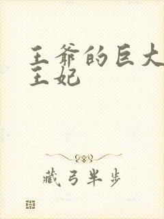 王爷的巨大进入王妃