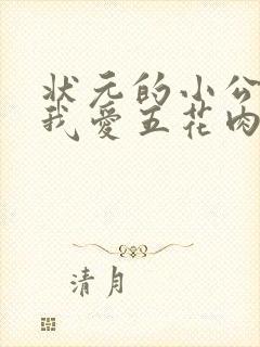 状元的小公主(我爱五花肉)
