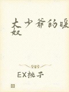 大少爷的暖床小奴