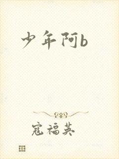 少年阿b