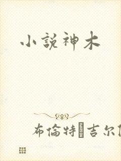 小说神木
