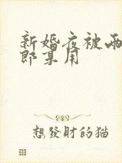 新婚夜被两个伴郎享用