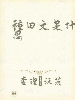 种田文是什么意思