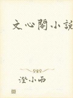 文心阁小说