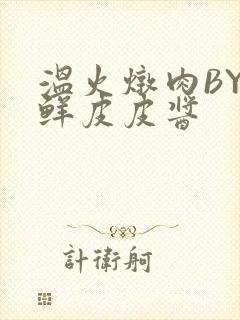 温火炖肉BY海鲜皮皮酱