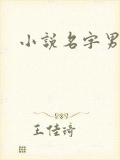 小说名字男生