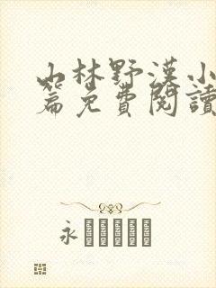 山林野汉小说全篇免费阅读