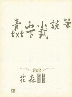 青山小说笔趣阁txt下载