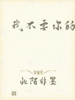 我不要你的承诺