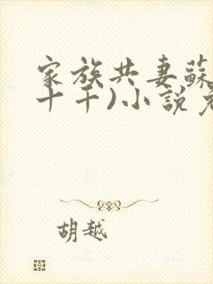 家族共妻苏苏(十千)小说免费