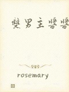 双男主酱酱酿酿