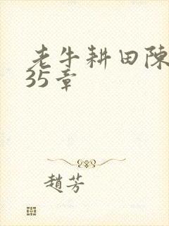 老牛耕田陈雪435章