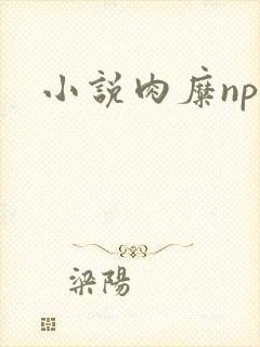 小说肉糜np