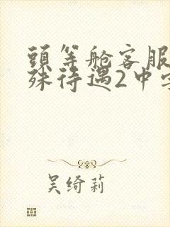 头等舱客服的特殊待遇2中字