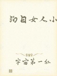 狗日女人小说
