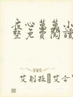 夜心万万小说完整免费阅读全文