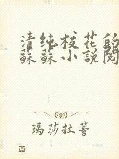 清纯校花的日常苏苏小说阅读全文