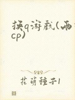 换q游戏(两对cp)