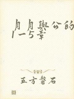 月月与公的激情1一5章