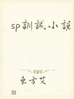sp训诫小说