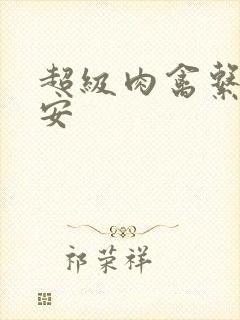 超级肉禽系统保安