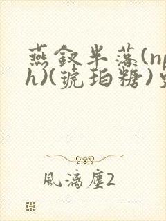 燕钗半落(nph)(琥珀糖)更新