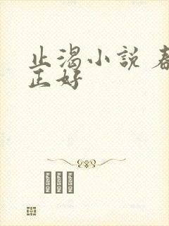 止渴小说 春光正好