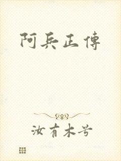 阿兵正传