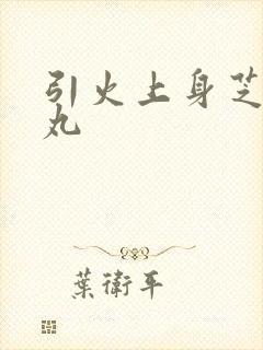 引火上身芝麻糖丸