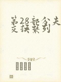 第28部分夫妇交换系列