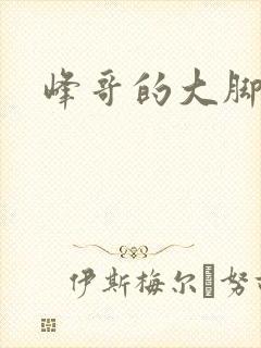 峰哥的大脚