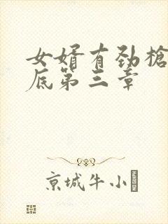 女婿有劲枪枪到底第三章