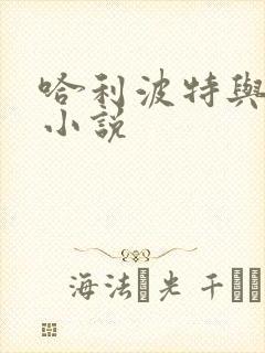 哈利波特与密室小说