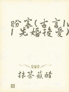 盼寡(古言1v1 先婚后爱)