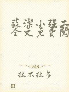 苏洁小强工地情全文免费阅读