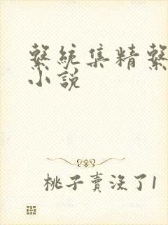 系统集精系统 小说